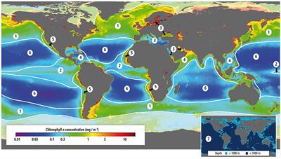 Editorial: The Effect of Climate Change across Ocean Regions